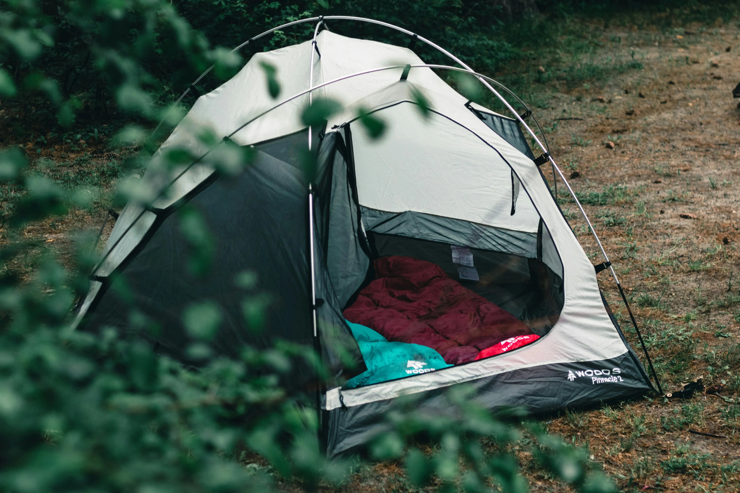 Camping Essentials